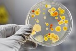 заболеваемость острыми кишечными инфекциями