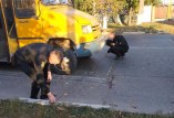 ДТП в Одессе