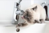 отключение воды