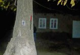 поножовщина