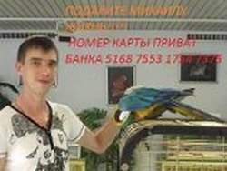 Сикорский