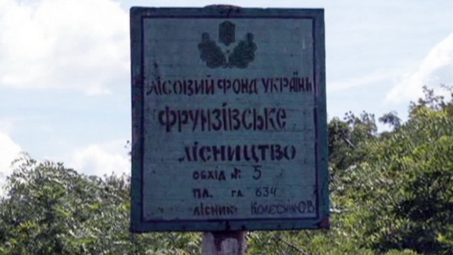 В Одесской области ликвидированы целые поля конопли. Фото В Одесской области ликвидированы целые поля конопли. Фото