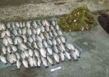 На озере Сасык поймали любителя незаконной рыбалки