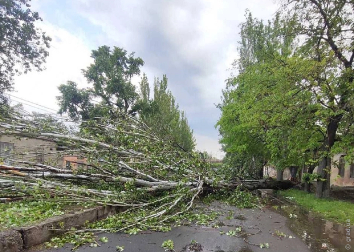 коммунальщики устраняют последствия непогоды в Одессе