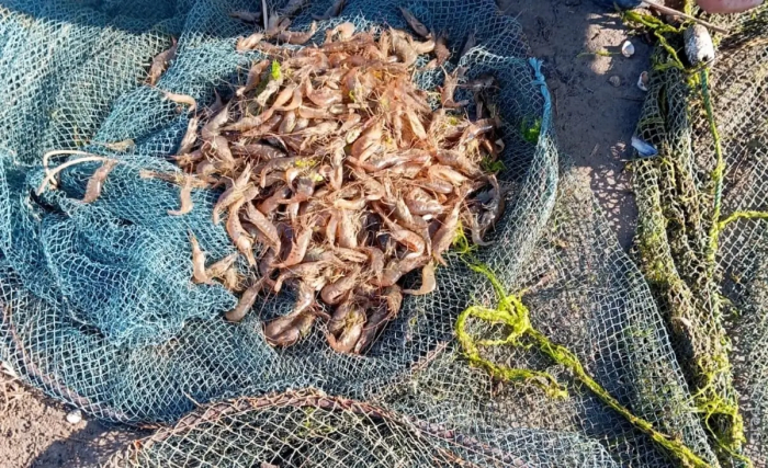 Миллионный ущерб за креветку и камбалу: в Одесской области поймали рыбака-нарушителя