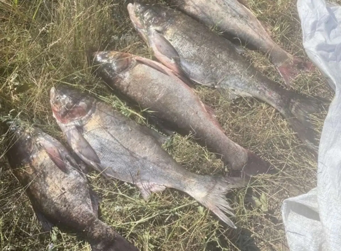 На Одещині за місяць браконьєри нанесли збитків на понад 500 тисяч гривень