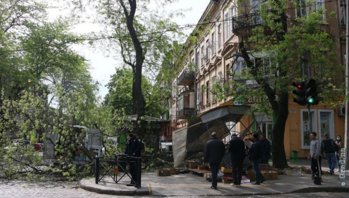 В центре Одессы рухнувшая ветка развалила киоск
