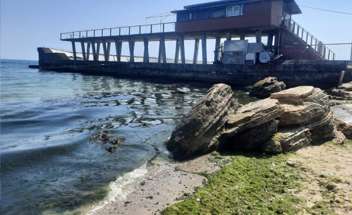 водоросли на пляжах Одессы