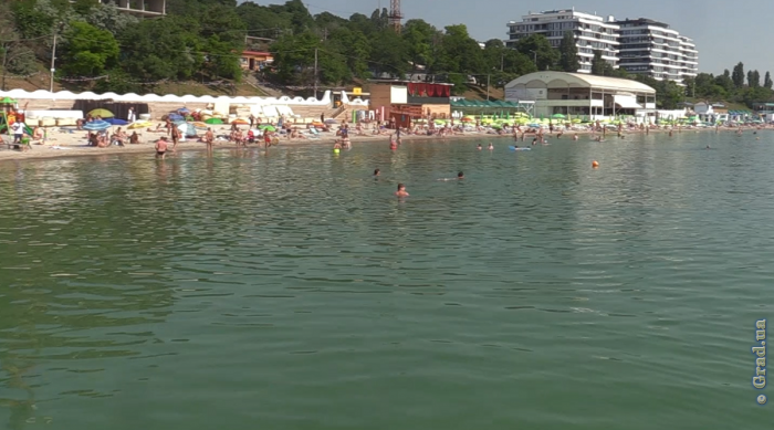 Морская вода в Одессе: пригодна для купания или нет