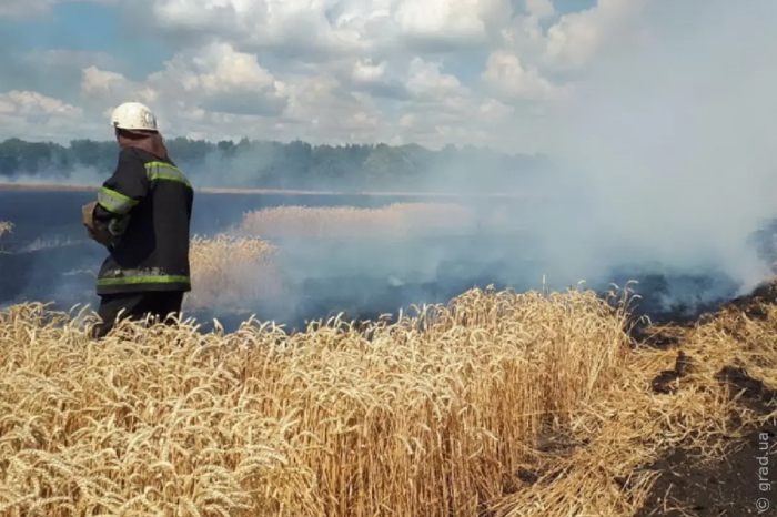В Измаильском районе горели поля с пшеницей