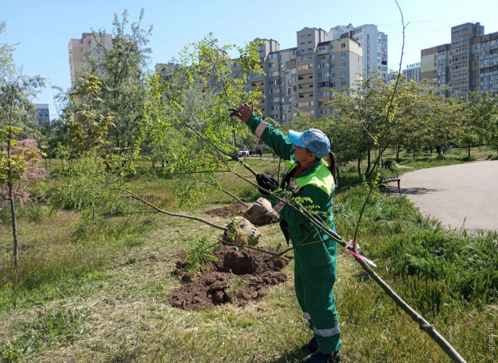 сотрудники Горзелентреста