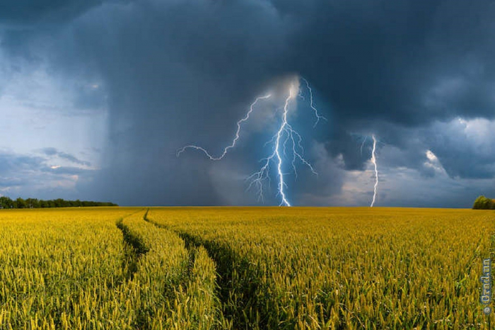 Начало июля в Одессе ожидается дождливым