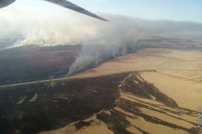 В Одесской области ликвидирован масштабный пожар в лесничестве