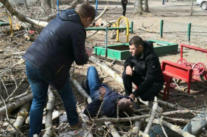 В Одессе на детскую площадку рухнуло дерево: есть пострадавшие