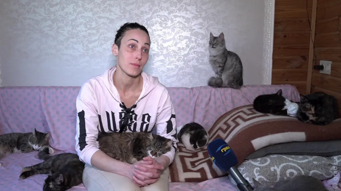 Одеситка подарувала будинок сотням покинутих котів