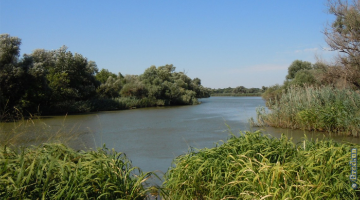 Водные ресурсы Одесской области: состояние после засухи и паводка