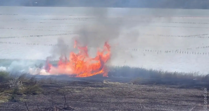 Вокруг Одессы горит сухая трава