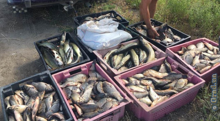 Житель Одесской области перевозил рыбу без документов