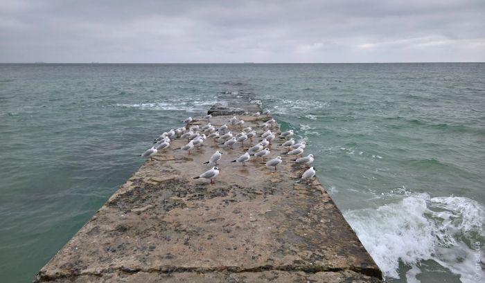 погода в Одессе на 7 октября