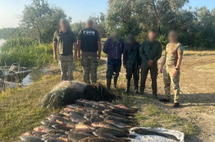задержание браконьеров
