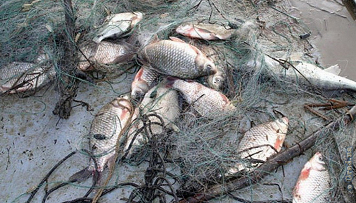 В Одесской области рыбалка обернулась крупным штрафом