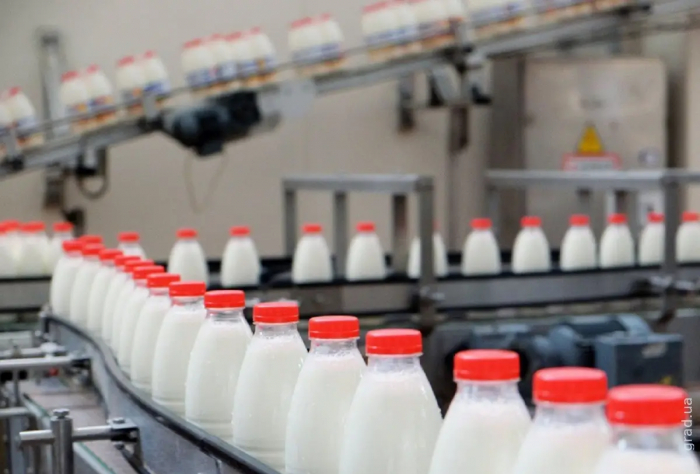 Експорт українського молока набирає обертів