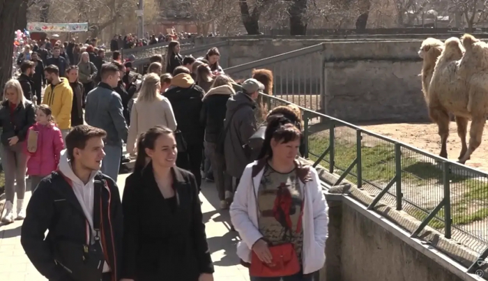 Одесский зоопарк будет работать по сокращенному графику