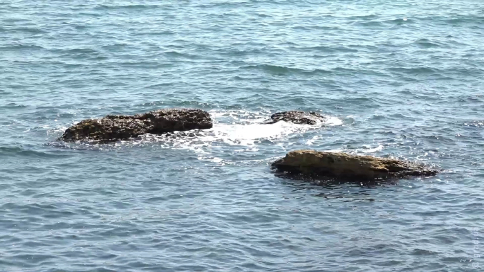 море в Одессе летом