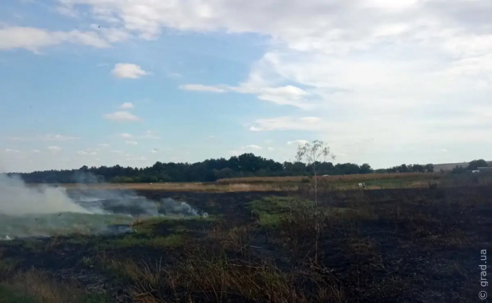 Пожежа на Одещині: вигоріло 2 гектари рослинності