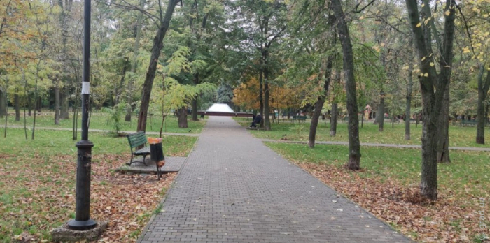 прогноз погоды на 13 ноября