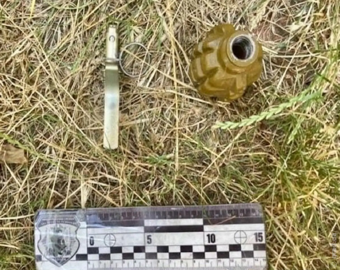 Житель Подільщини зберігав вдома гранату та майже сотню набоїв