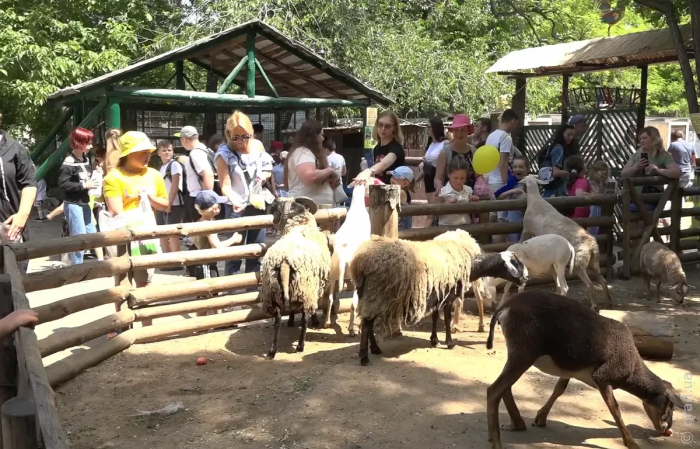 Международный день защиты детей отметили в Одесском зоопарке