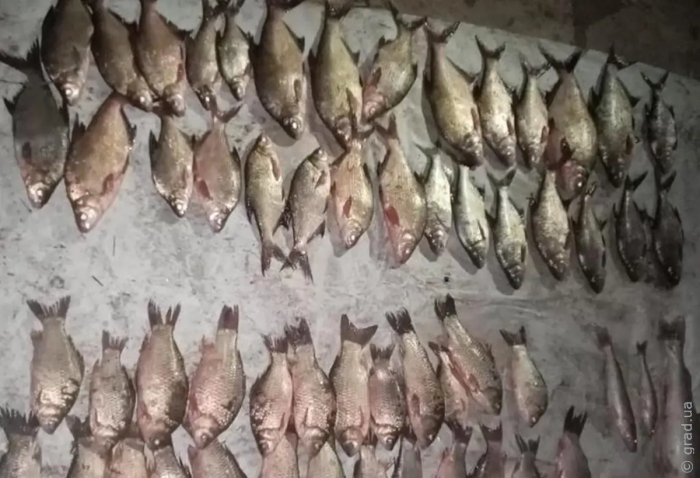 Незаконный улов: в Одесской области задержали браконьера