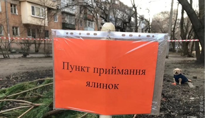 В Одессе работают пункты приема елок