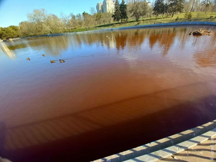 В прудах парка Победы вода изменила цвет по неизвестным причинам