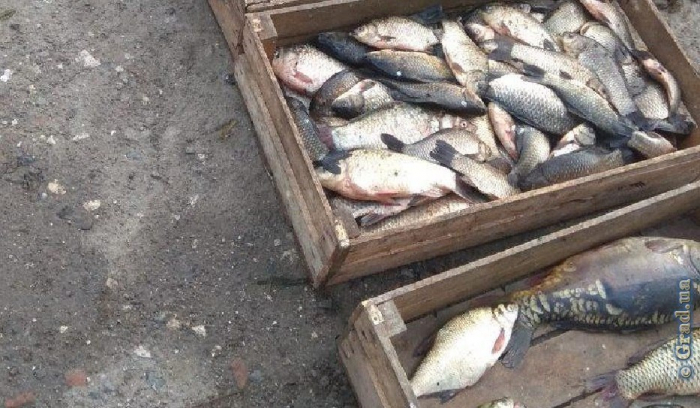 На озере Ялпуг задержан браконьер с сетями