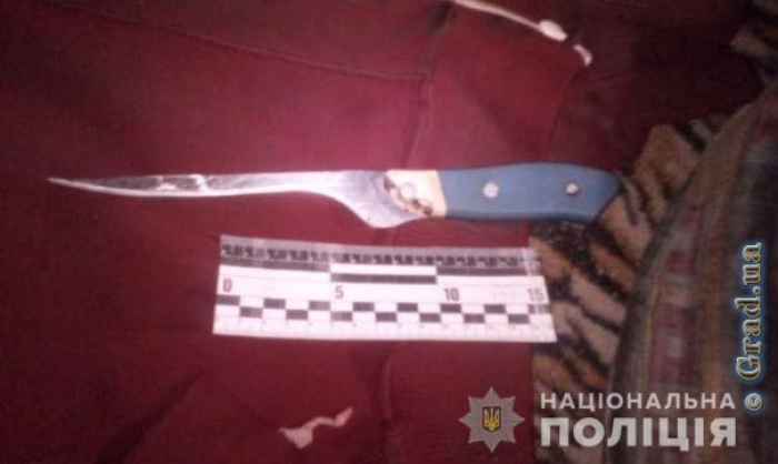 27-летняя женщина ударила в живот ножом свою мать
