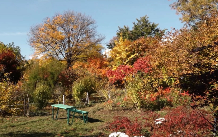 осень в Одессе