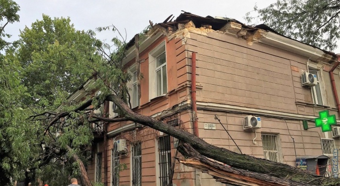 В Одессе сильный ветер повалил 53 дерева