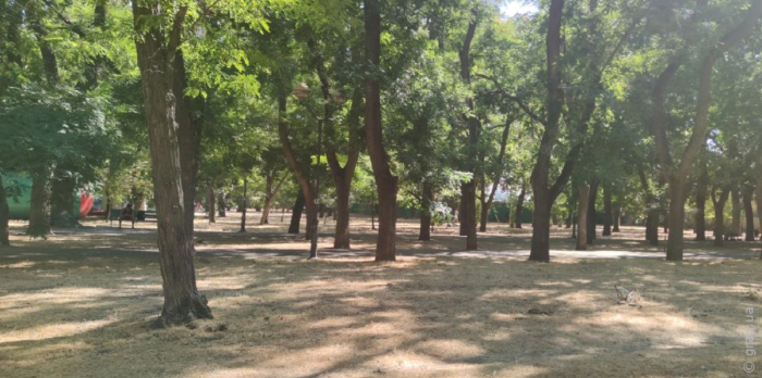 Парк им. Леси Украинки