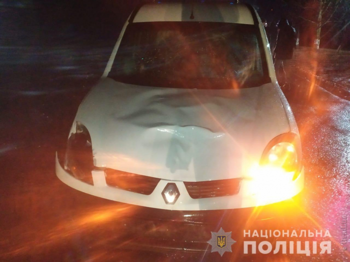 ДТП в Подольском районе: Renault сбил двух женщин