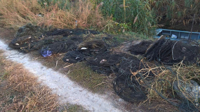 В Днестровских плавнях обнаружены сотни раколовок и браконьерских сетей