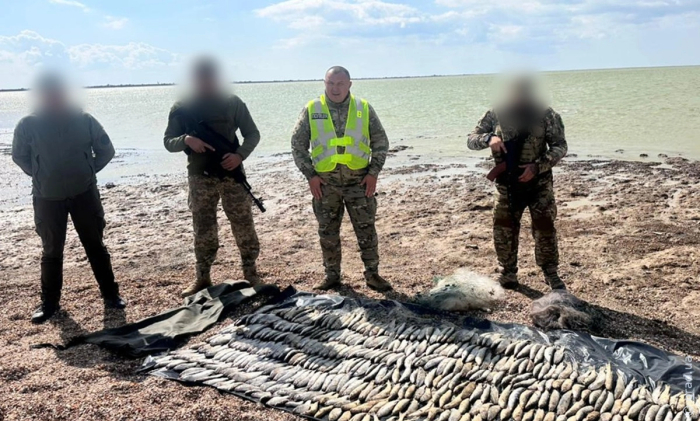 задержание браконьера