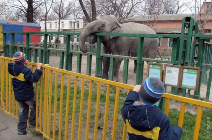 Одесский зоопарк открывает свои двери для посетителей