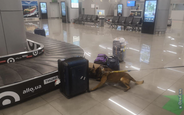 В одесском аэропорту служебный пес обнаружил наркотики