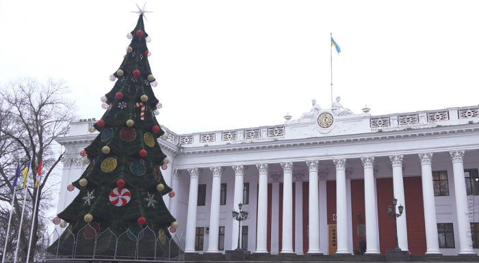 Новогоднюю елку установили на Думской площади