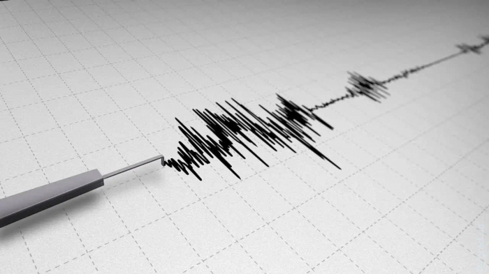 Отголоски землетрясения в Румынии почувствовали на юге Одесской области