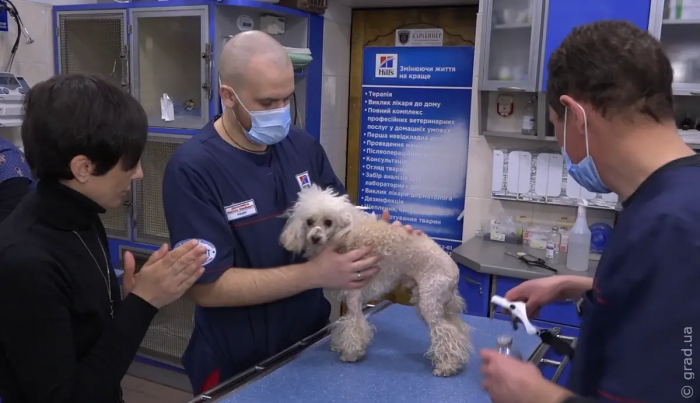 Ветеринарные клиники в Одессе продолжают работать в штатном режиме