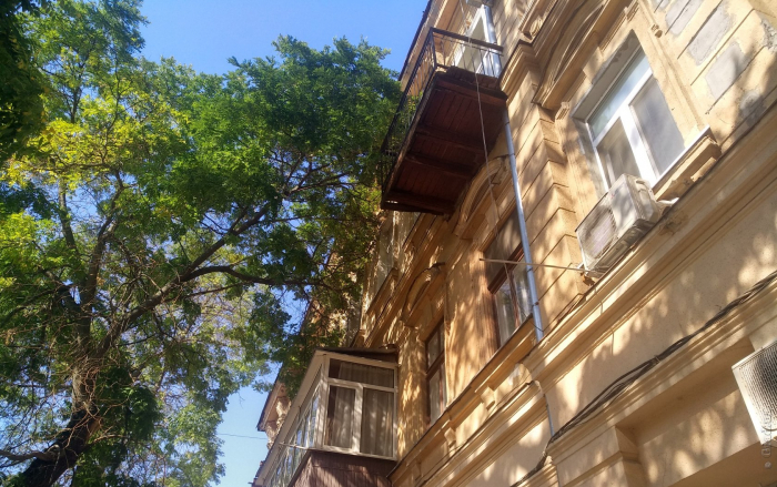 В центре Одессы дерево легло на дом