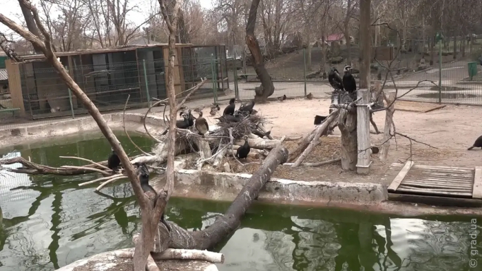 Підсумки 2022 підвели в Одеському зоопарку